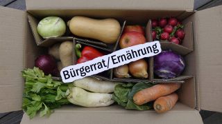 Obst- und Gemüsekiste mit Aufschrift Bürgerrat und Ernährung
